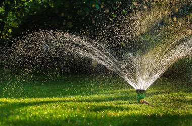 Limpieza de jardines y podas