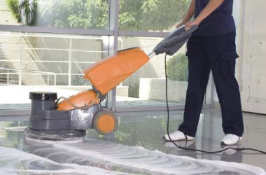 Empresas de jardinería