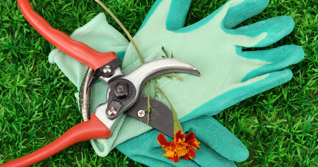 Trabajos de limpieza