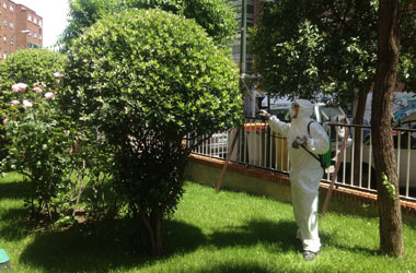 Servicio de limpieza de jardines, limpieza y decoración de jardines, servicio de podas, poda y mantenimiento de césped, limpieza de comunidades de propietarios, servicio de limpieza y mantenimiento de garajes, limpieza de garajes de comunidades