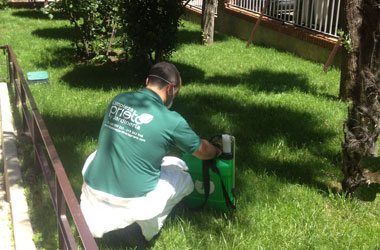 Servicio de limpieza de jardines, limpieza y decoración de jardines, servicio de podas, poda y mantenimiento de césped, limpieza de comunidades de propietarios, servicio de limpieza y mantenimiento de garajes, limpieza de garajes de comunidades